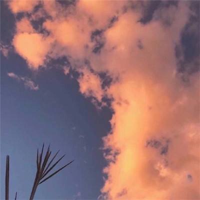 炸金花游戏手机app下载